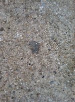 Meteorite hole.jpg