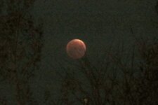 blood moon 1.jpg