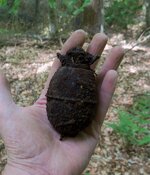 Egg grenade (Eihandgranate).jpg