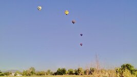 balloons from the field.jpg