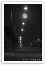 moon&streetlights.jpg