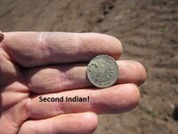 Two Indian head pennies 003.JPG