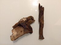 NSB spike and wood from shipwreck.JPG