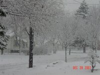 winter storm 2007.jpg