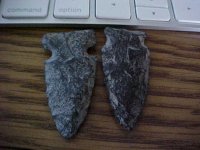 arrowhead2.JPG