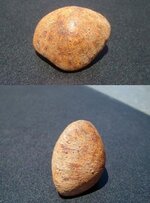 Frank's Meteorite.JPG