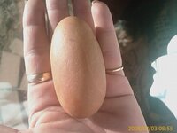 egg rock 1.jpg