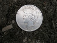 2212017 Silver Dollar.jpg