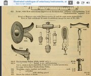 veterinaryinstruments.jpg