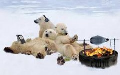 Polar Bears.jpg