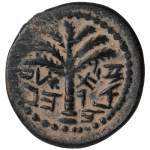 palm-coin2.png