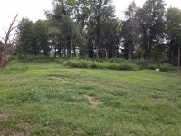 Old Chalybeate Springs Church Cemetery - panoramic looking west - badly overgrown SM.jpg