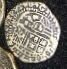 spanish doubloon cocoa bch.jpg