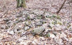 Gravesite-Small Rock Pile View 1.JPG
