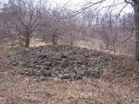 Rock Pile Between Orchard and Field.JPG