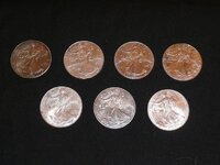7 Silver Dollars Small Pic.JPG