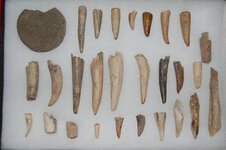 Feurt Site Collection (85).jpg