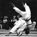 judo.jpg