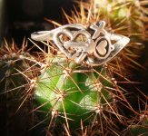 Ring Cactus sm 21 oct.jpg