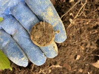 Brass Brooch. Edit: 14k Gold Brooch