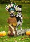 dog and cat thanksgivong.jpg
