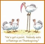 flamingo turkey day.jpg