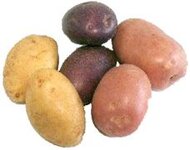 food potato varieties.jpg