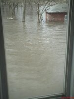 flood 0009001.JPG
