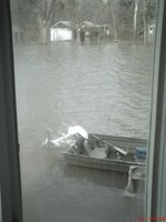 flood 0009003.JPG
