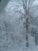 March snow pic\'s 2009 007.jpg