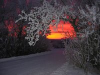 Saskatchewan frosty sunset.jpg