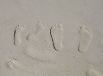 Our footprints in Mexico.jpg