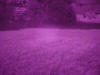 target using 720 infrared filter.jpg