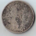 silver dollar a.jpg