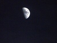 nighttime moon.jpg