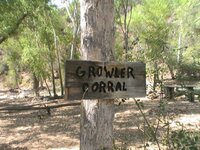 Growler-Corral.jpg