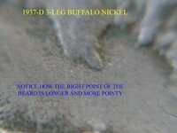 buffalo 3 leg 061 copy.jpg