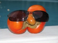 cool tomatoe 007.JPG