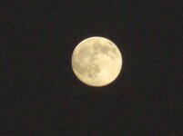 full moon4.jpg