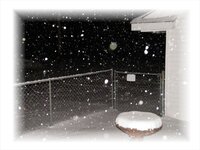my backyard snow.jpg