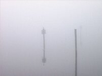 Morning Fog 019.jpg