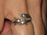 Dolphin ring.JPG