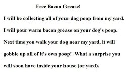 dogs love bacon.jpg