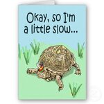 turtle_belated_late_happy_birthday_card-p137944842880267754tdtq_400.jpg