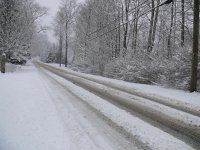 road snow feb.JPG