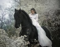 Girl and horse.jpg