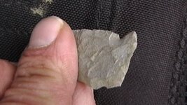 finds at exposed site 080.JPG