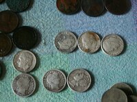 Texas,coins,javelina 026.jpg