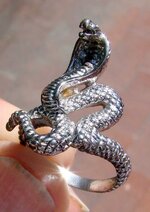 Snake ring sm.jpg