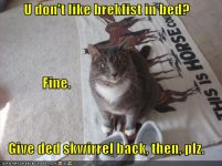 funny-pictures-why-dont-you-like-breakfast-in-bed.jpg